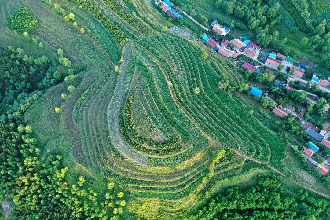 生態(tài)系統(tǒng)健康和管理——加強(qiáng)生態(tài)技術(shù)和工程管理，促進(jìn)生態(tài)系統(tǒng)健康發(fā)展